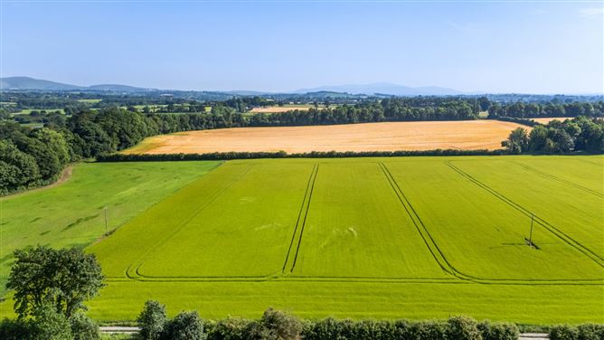 Lot 1 - South Land At Lisnavagh, Lisnavagh, Co. Carlow