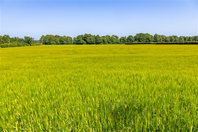 Lot 1 - South Land At Lisnavagh, Lisnavagh, Co. Carlow