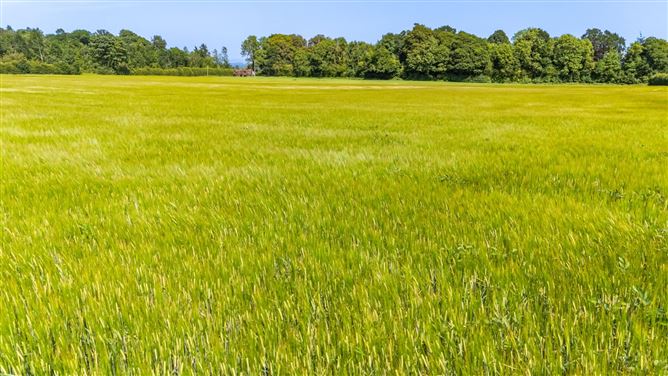 Photo 7 of 9 — Lot 1 - South Land At Lisnavagh, Lisnavagh, Co. Carlow