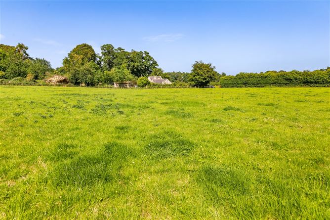Photo 8 of 9 — Lot 1 - South Land At Lisnavagh, Lisnavagh, Co. Carlow