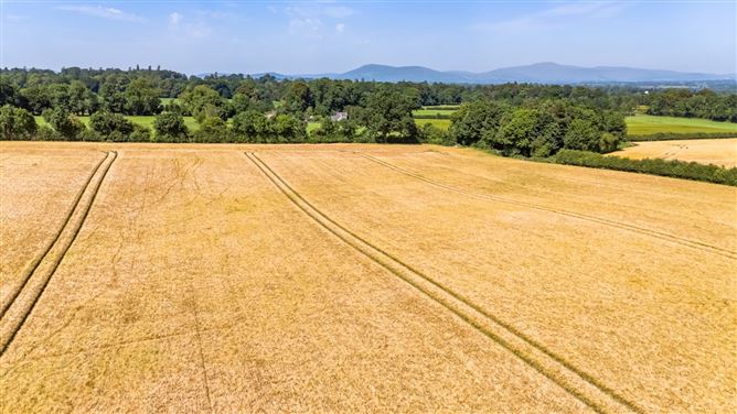 Lot 1 - South Land At Lisnavagh, Lisnavagh, Co. Carlow