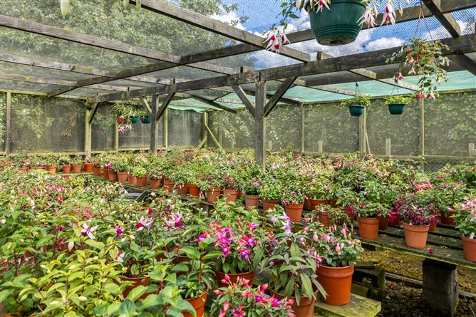 Newtown, The Ward, Meath