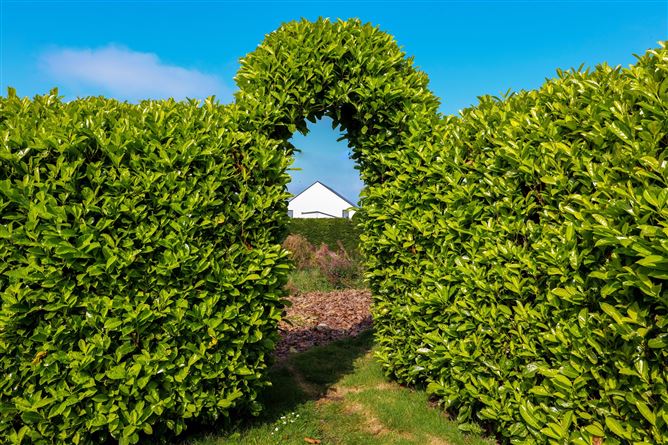 Cregcarragh, Claregalway, Co. Galway