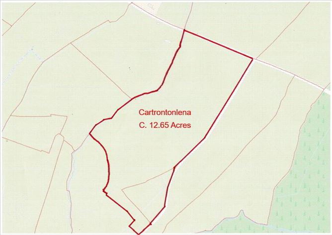 Cartrontonlena, Drumnacool, Sligo