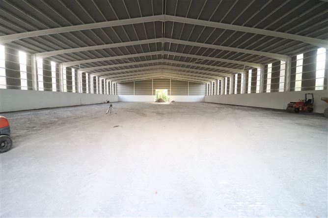 Unit at Dunleckney, Bagenalstown, Carlow