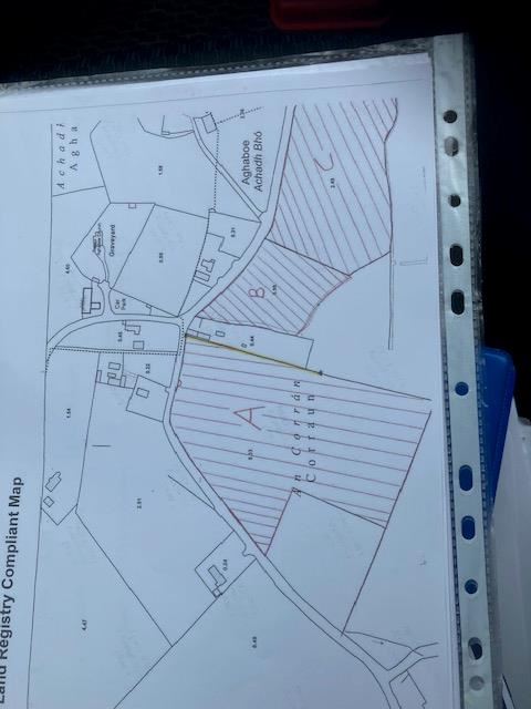 Curraun, Aghaboe, Borris-in-Ossory, Laois