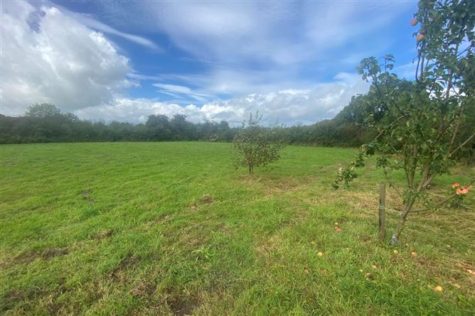 Gurteenard, Kanturk, P51F2X8, Co. Cork