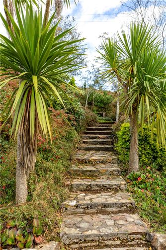 Alora, Tigroney West, Avoca, Co. Wicklow