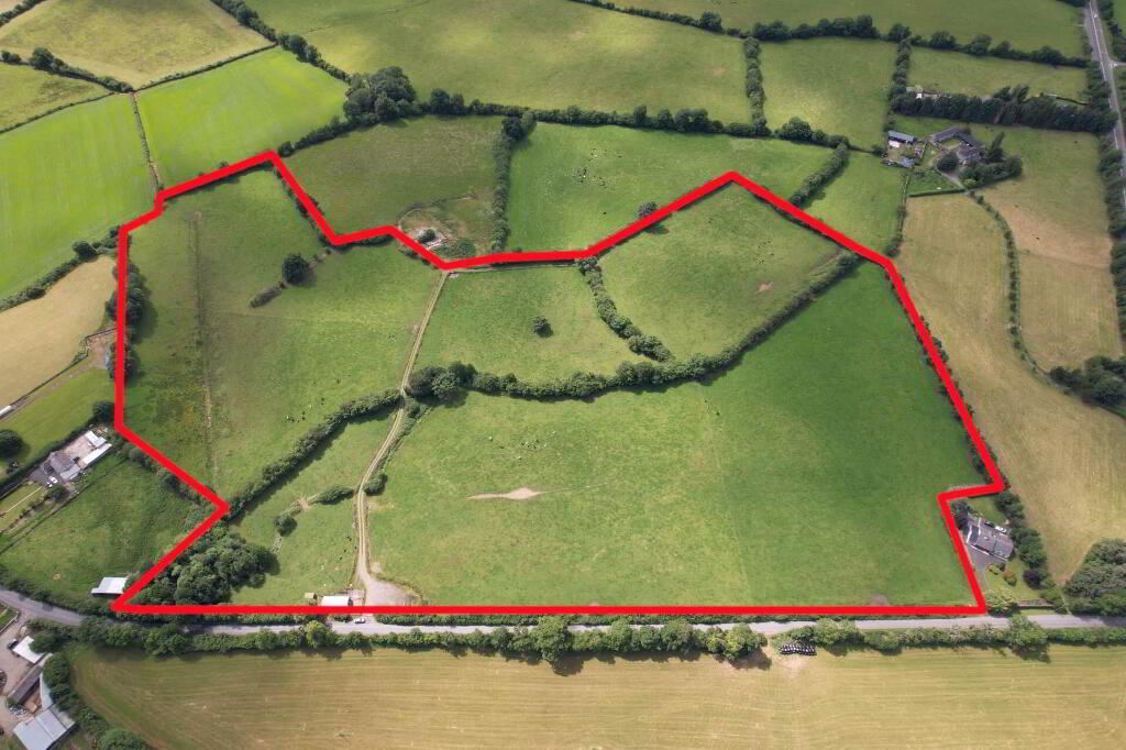 C. 32 Acres At Kilmartin, Ballaghmore, Borris In Ossory, Laois
