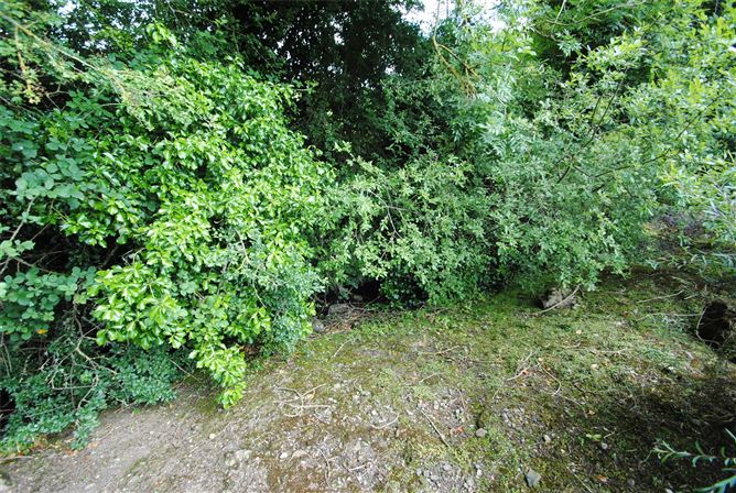 Walnut Creek, Ballincard, Five Alley, Birr, Co. Offaly