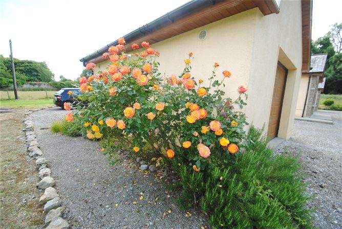 Walnut Creek, Ballincard, Five Alley, Birr, Co. Offaly