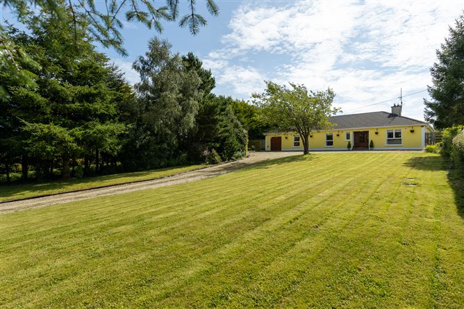 Moneyhore, Caim, Co. Wexford.