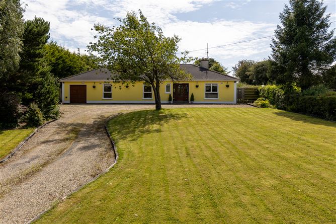 Moneyhore, Caim, Co. Wexford.