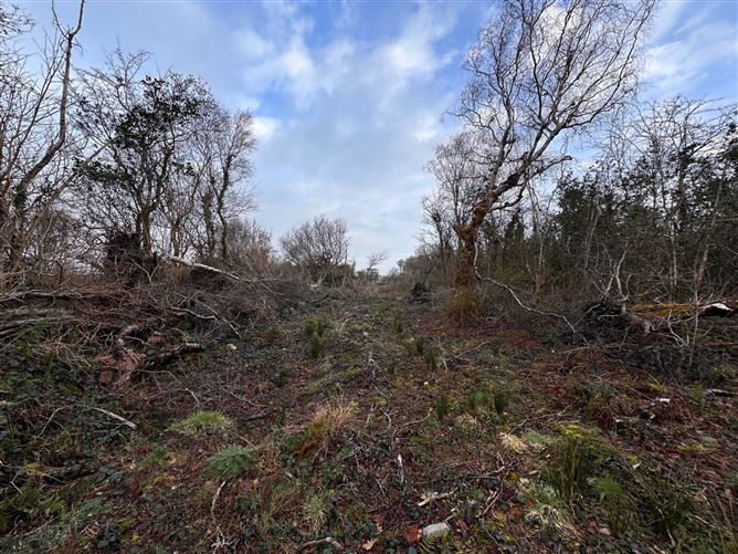 Lands At Woodstock, Moycullen, Galway, County Galway