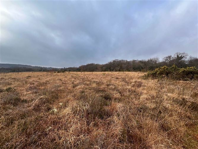 Lands At Woodstock, Moycullen, Galway, County Galway
