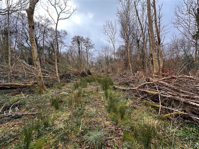 Lands At Woodstock, Moycullen, Galway, County Galway