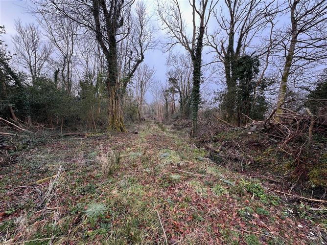 Lands At Woodstock, Moycullen, Galway, County Galway