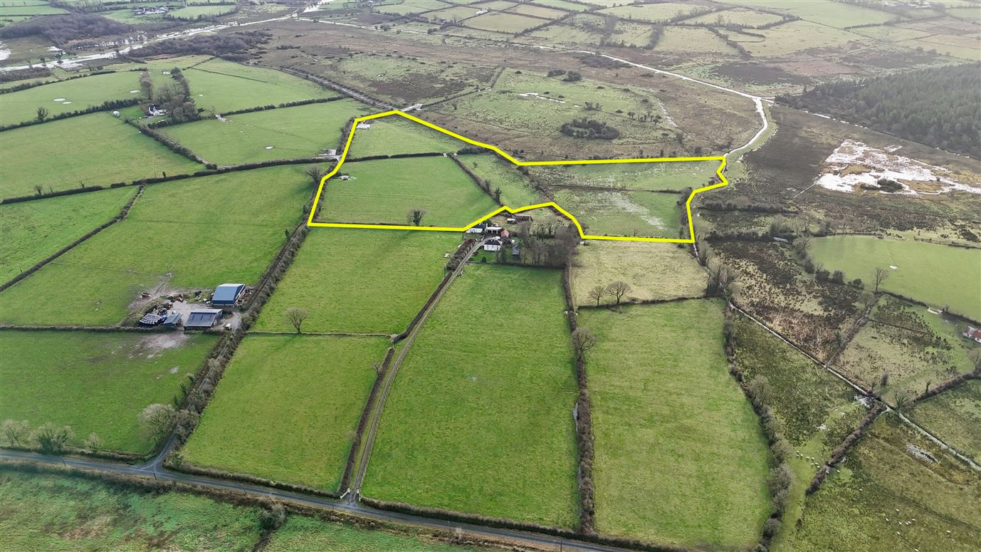 14.59 acres (approx.) at Oakfield, Strokestown, Co. Roscommon