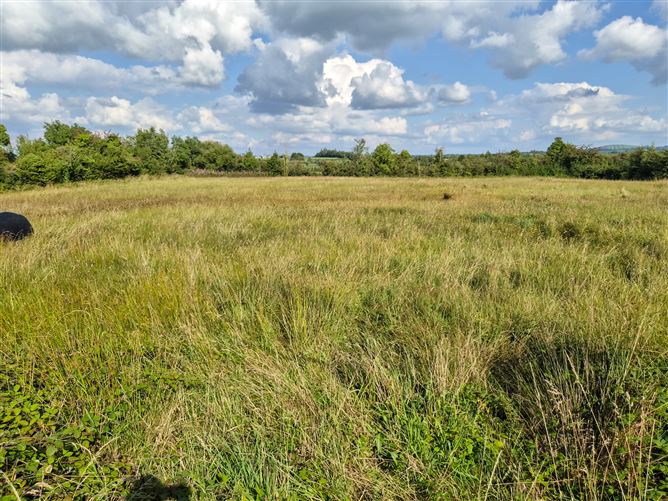 Cloncowley, Drumlish, Longford