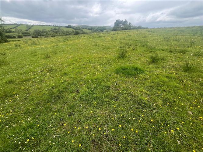 Doorla, Collooney, Sligo