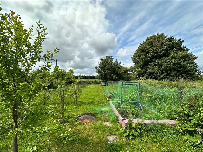 Bluebell Cottage, Dungarvan, Co. Kilkenny