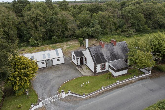 Haggard, Carbury, Co. Kildare