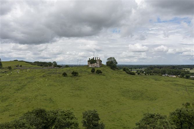 Haggard, Carbury, Co. Kildare