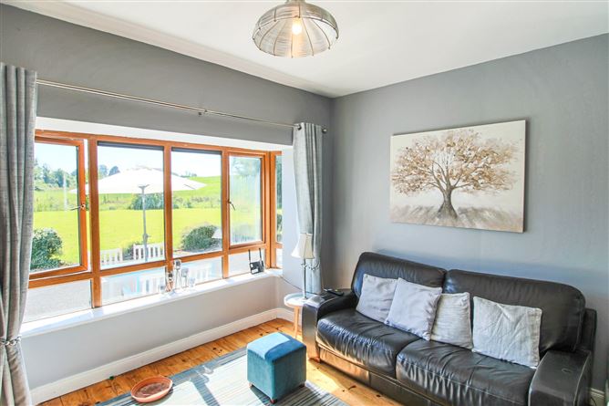 Drumlion, Carrick-On-Shannon, Co. Roscommon