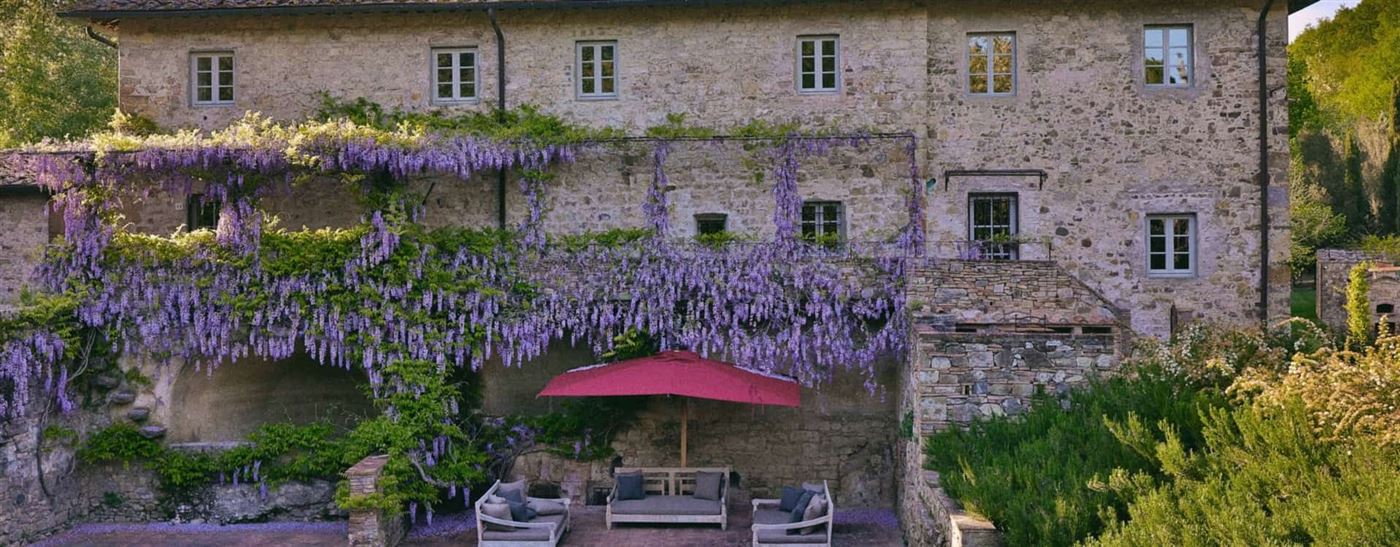 Wisteria & Wine,Barberino Tavarnelle,Tuscany,Italy
