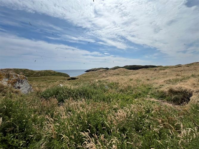 Photo 23 of 29 — Goat Island, Schull, West Cork