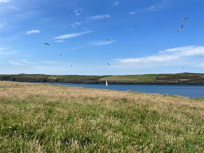Photo 25 of 29 — Goat Island, Schull, West Cork