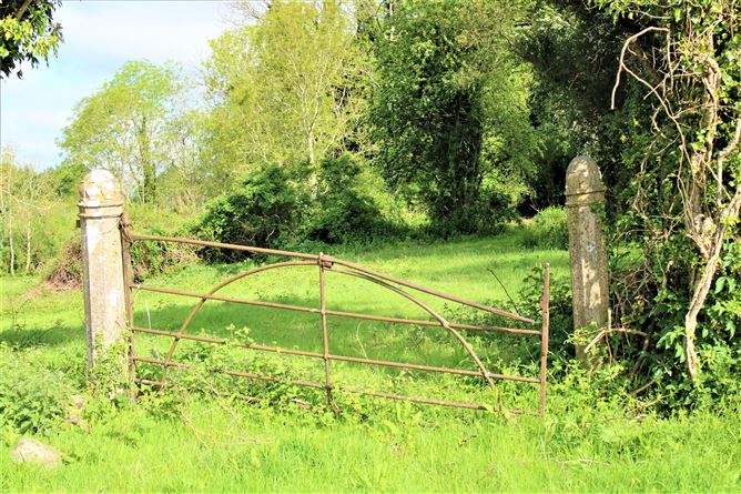 Kilclare Estate, Durrow, , Tullamore, Offaly