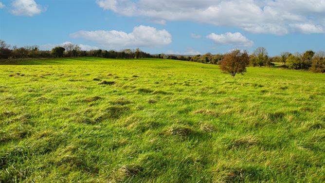 Kilclare Estate, Durrow, , Tullamore, Offaly