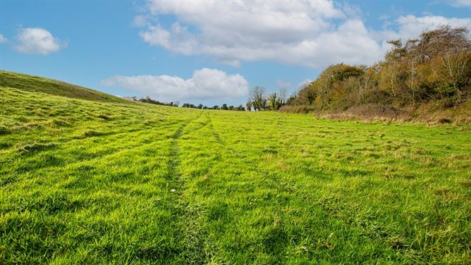 Kilclare Estate, Durrow, , Tullamore, Offaly