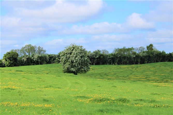 Kilclare Estate, Durrow, , Tullamore, Offaly