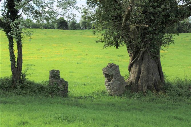 Kilclare Estate, Durrow, , Tullamore, Offaly