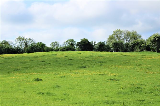Kilclare Estate, Durrow, , Tullamore, Offaly