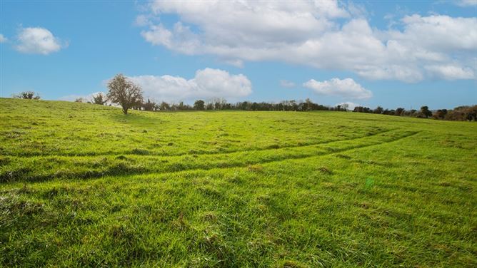 Kilclare Estate, Durrow, , Tullamore, Offaly