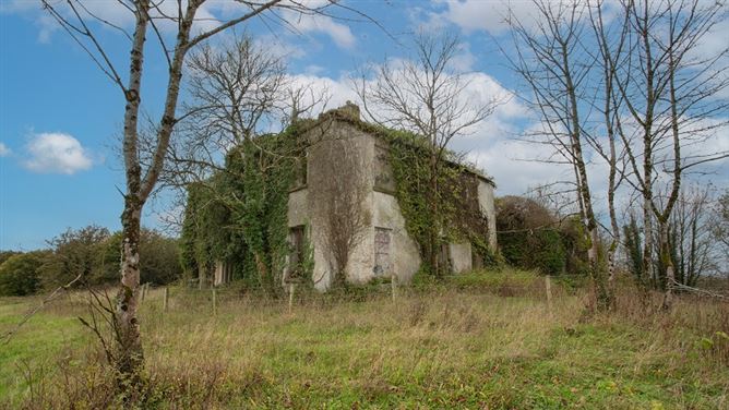 Kilclare Estate, Durrow, , Tullamore, Offaly