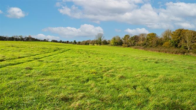 Kilclare Estate, Durrow, , Tullamore, Offaly