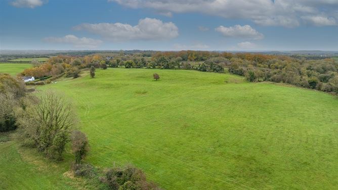 Kilclare Estate, Durrow, , Tullamore, Offaly