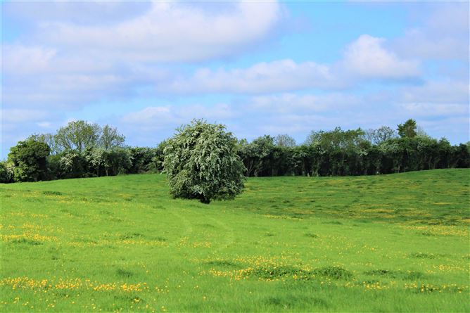 Kilclare Estate, Durrow, , Tullamore, Offaly