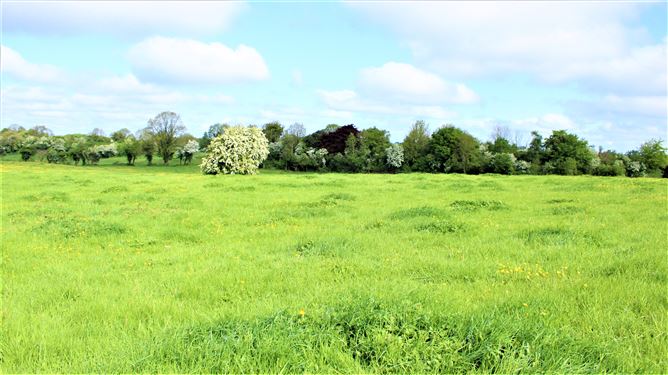 Kilclare Estate, Durrow, , Tullamore, Offaly