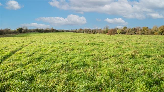 Kilclare Estate, Durrow, , Tullamore, Offaly
