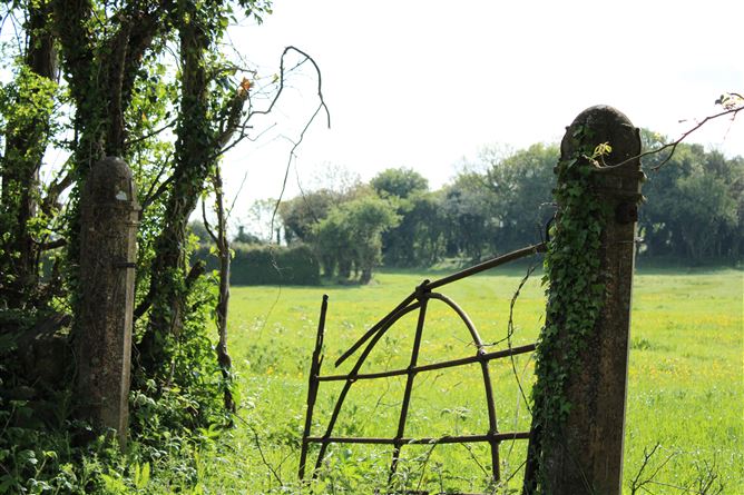 Kilclare Estate, Durrow, , Tullamore, Offaly