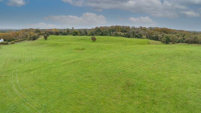 Kilclare Estate, Durrow, , Tullamore, Offaly
