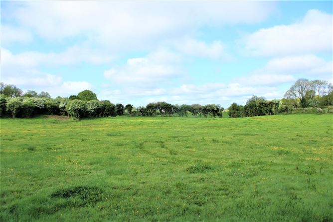 Kilclare Estate, Durrow, , Tullamore, Offaly