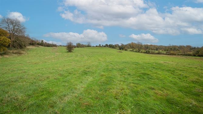 Kilclare Estate, Durrow, , Tullamore, Offaly