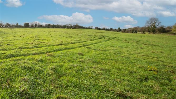 Kilclare Estate, Durrow, , Tullamore, Offaly