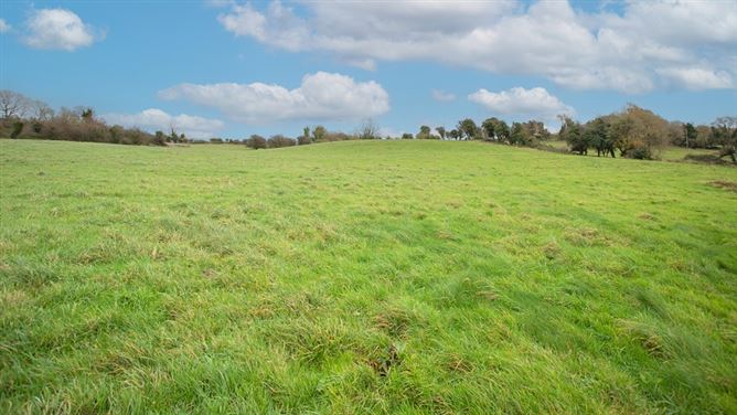 Kilclare Estate, Durrow, , Tullamore, Offaly
